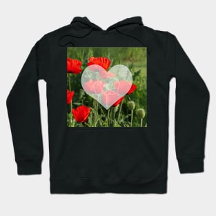 Popies at Flanders field Hoodie